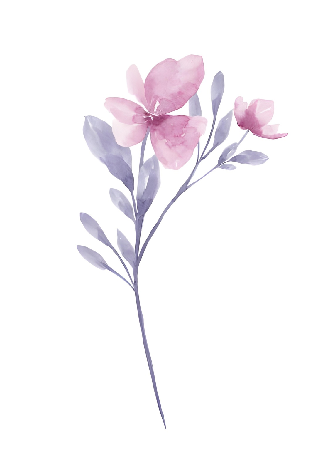 Soft Pink Floral Watercolor Wall Art