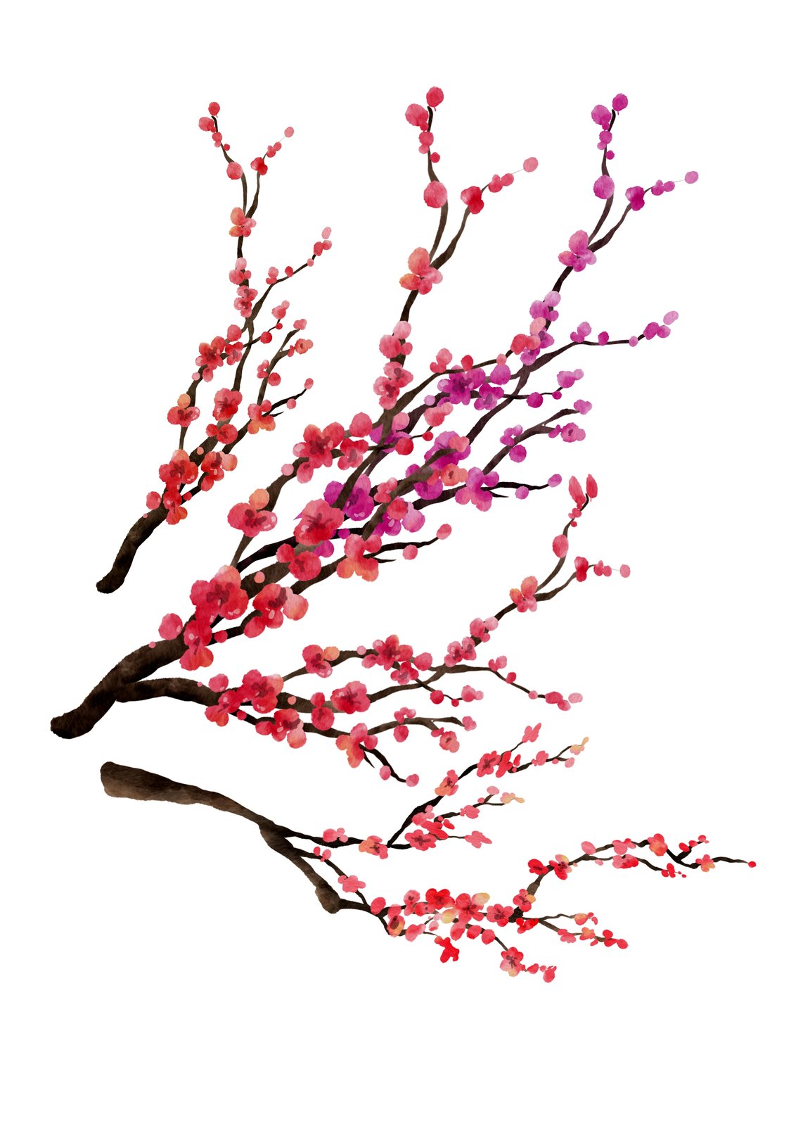 Watercolor Cherry Blossom Wall Art