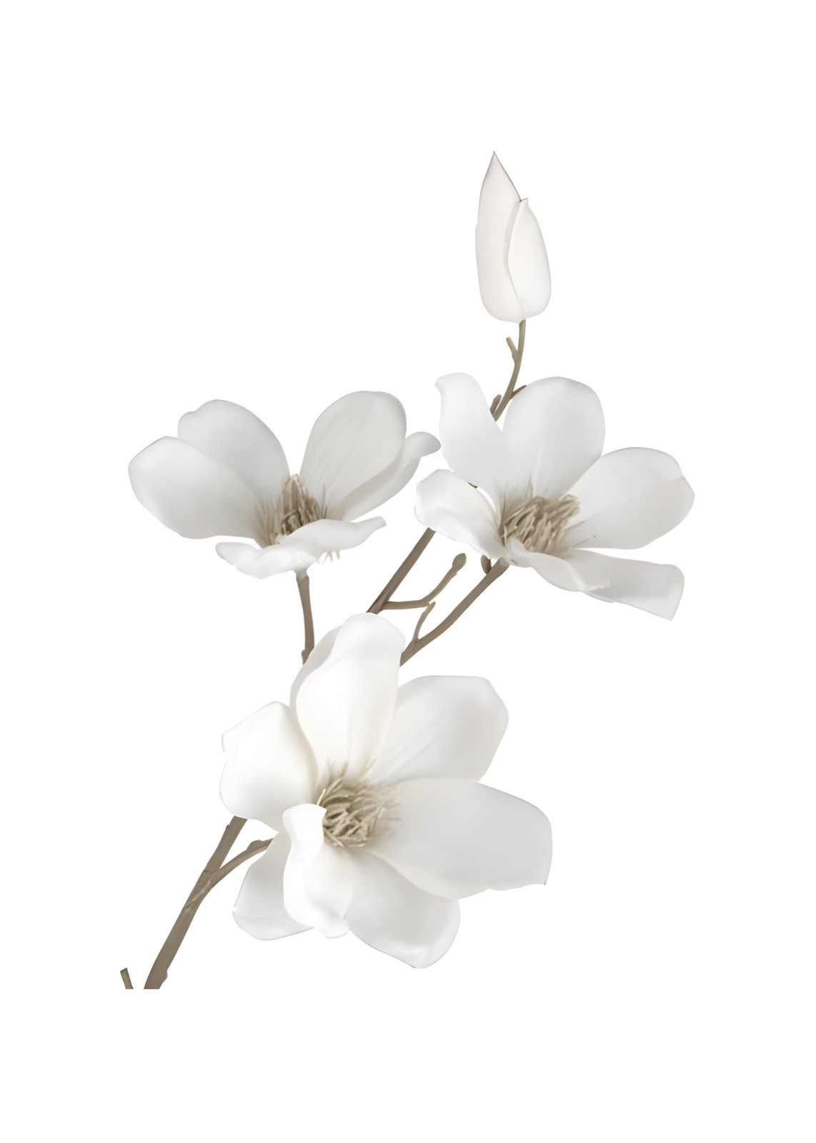 Elegant White Magnolia Branch Wall Art