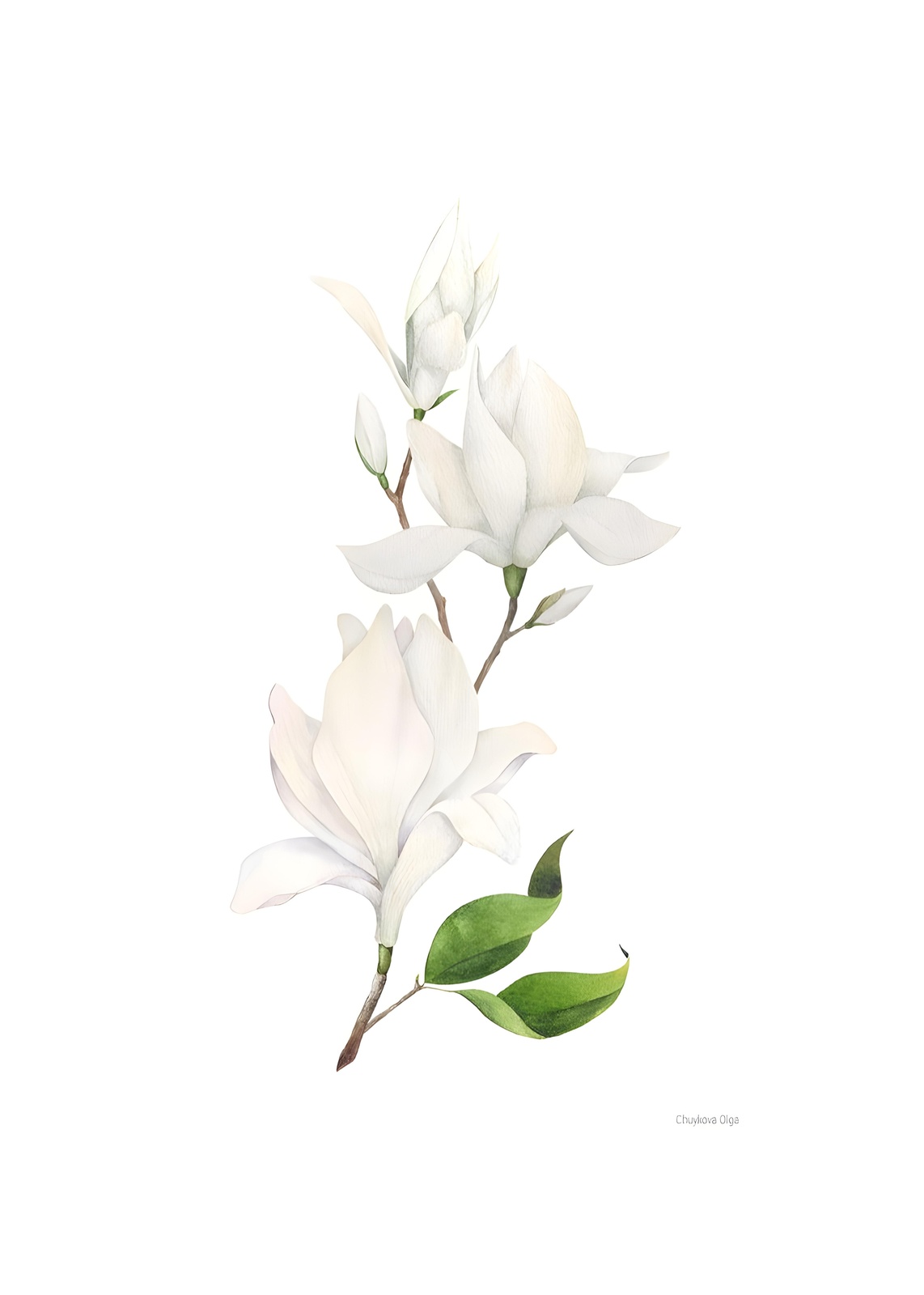 Elegant White Magnolia Blossom Wall Art