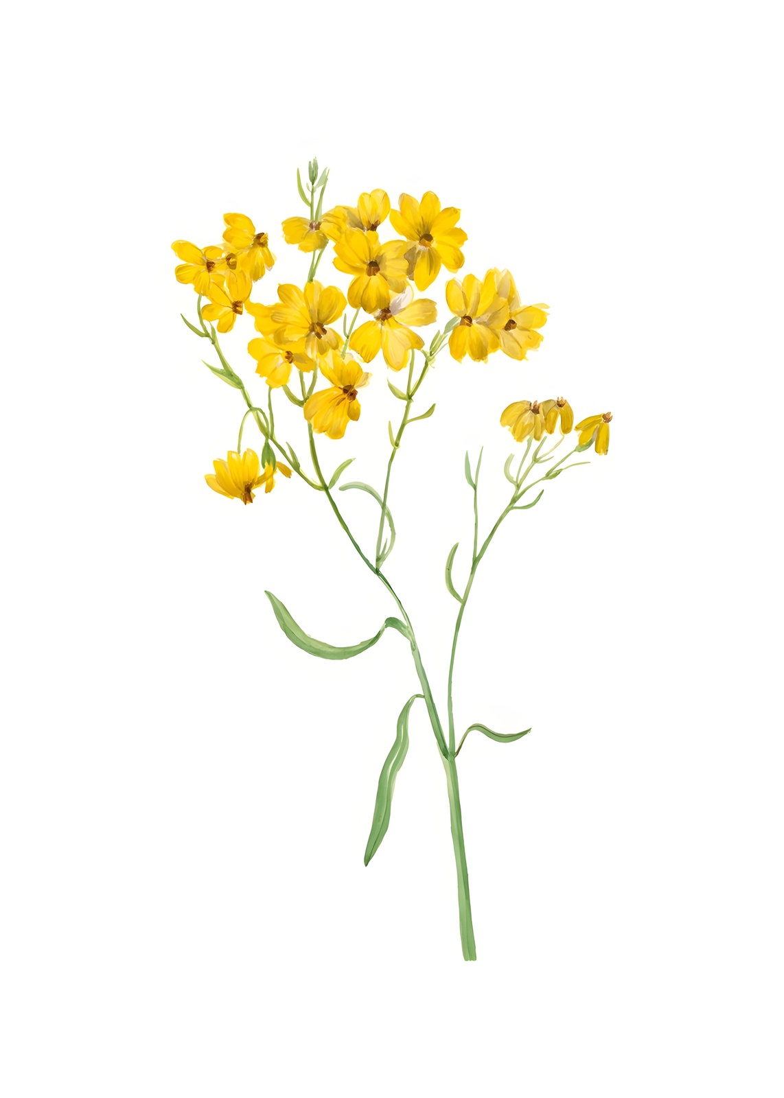 Vibrant Yellow Wildflower Botanical Art Wall Art