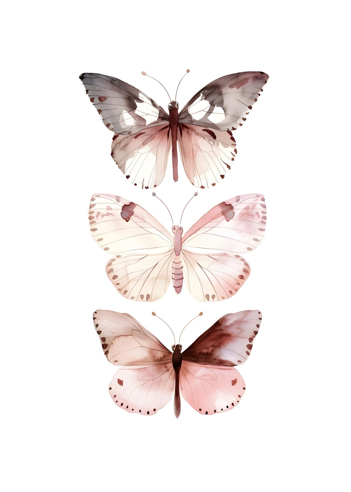 Bohemian Butterfly Trio Watercolor Wall Art