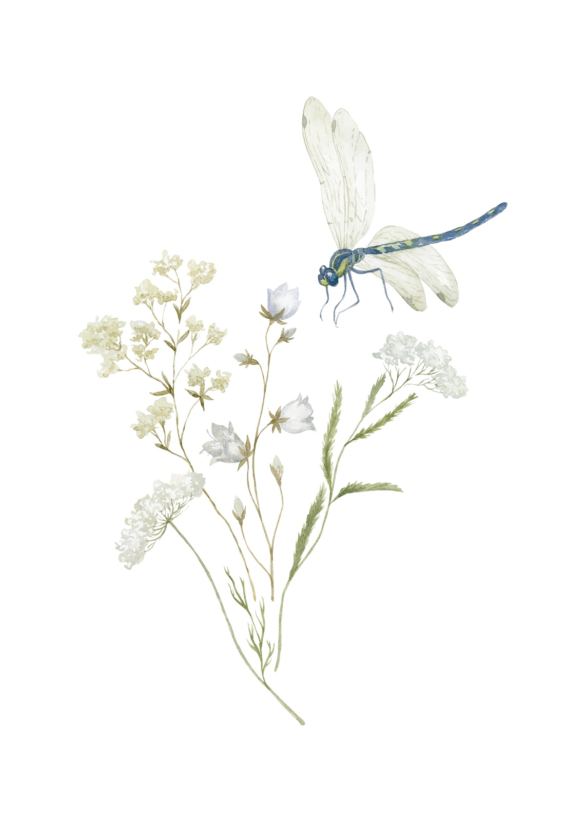 Delicate Dragonfly & Wildflower Meadow Wall Art