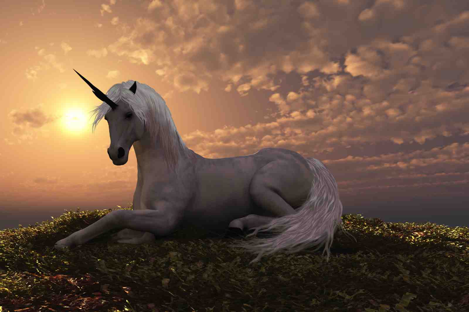Majestic Unicorn Sunset Fantasy Wall Art