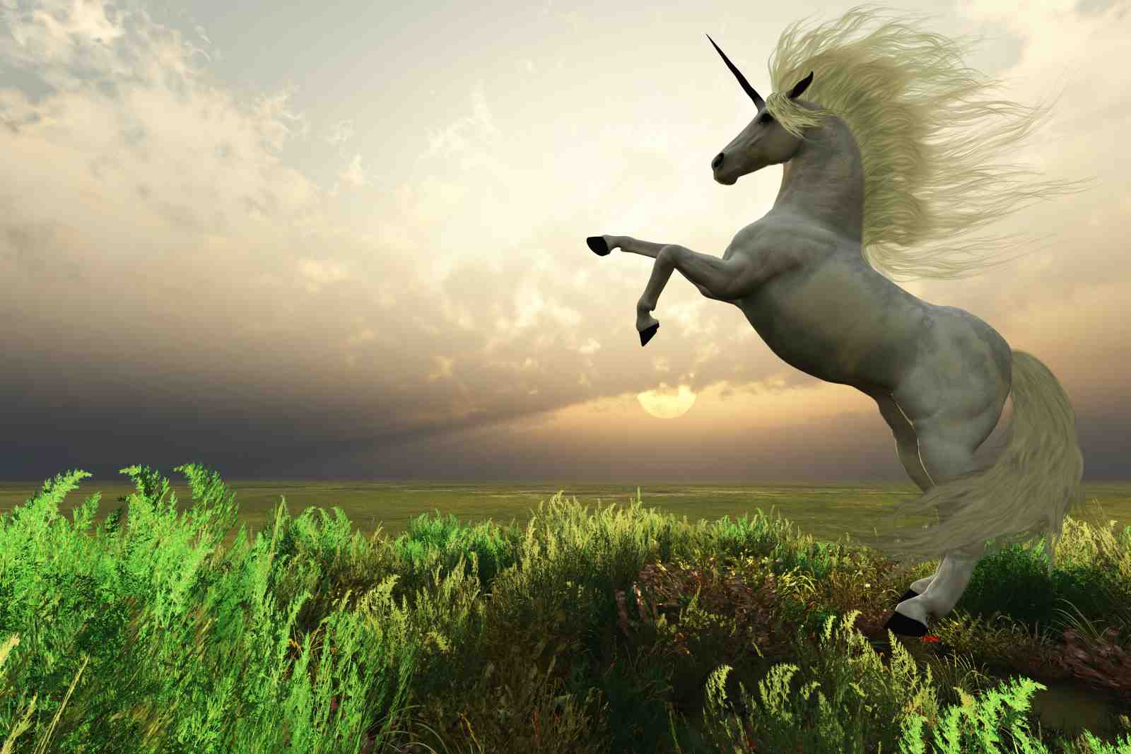 Majestic Unicorn Sunset Meadow Wall Art
