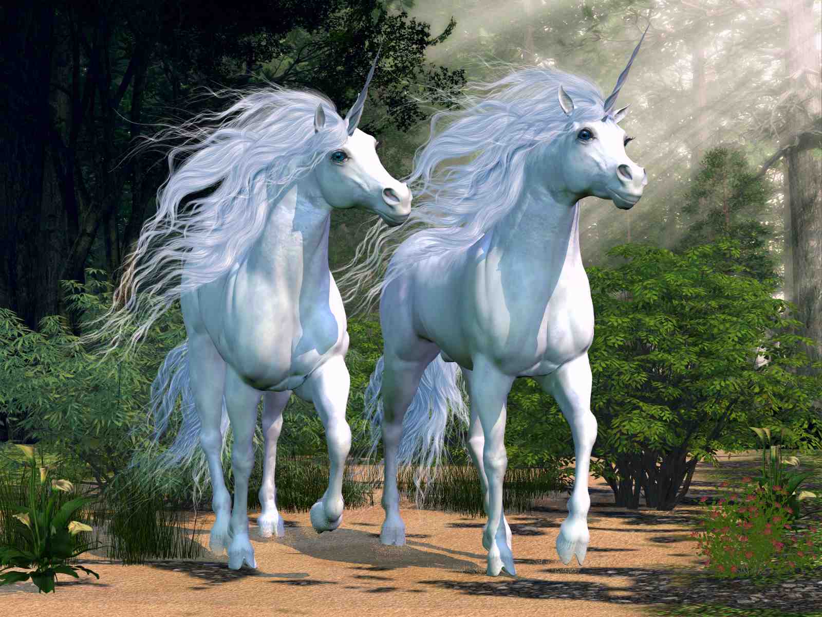 Majestic Unicorns Forest Dream Wall Art