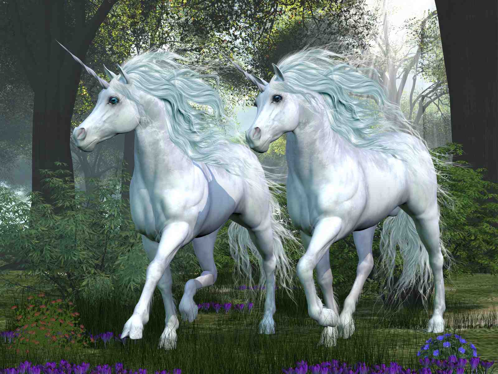 Enchanted Forest Unicorns Wall Art