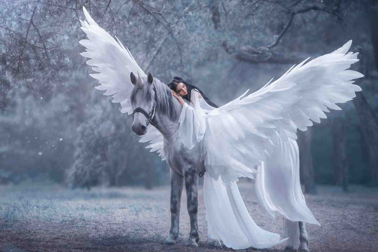 Enchanting Angelic Pegasus Wall Art