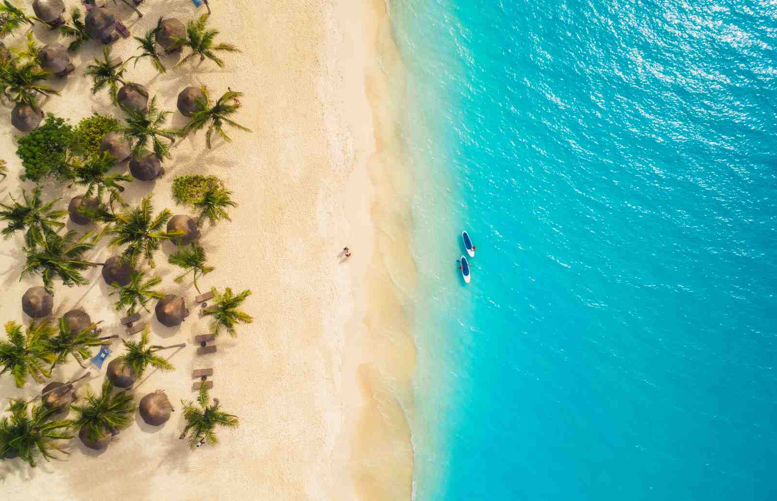 Tropical Beach Paddleboard Serenity Wall Art