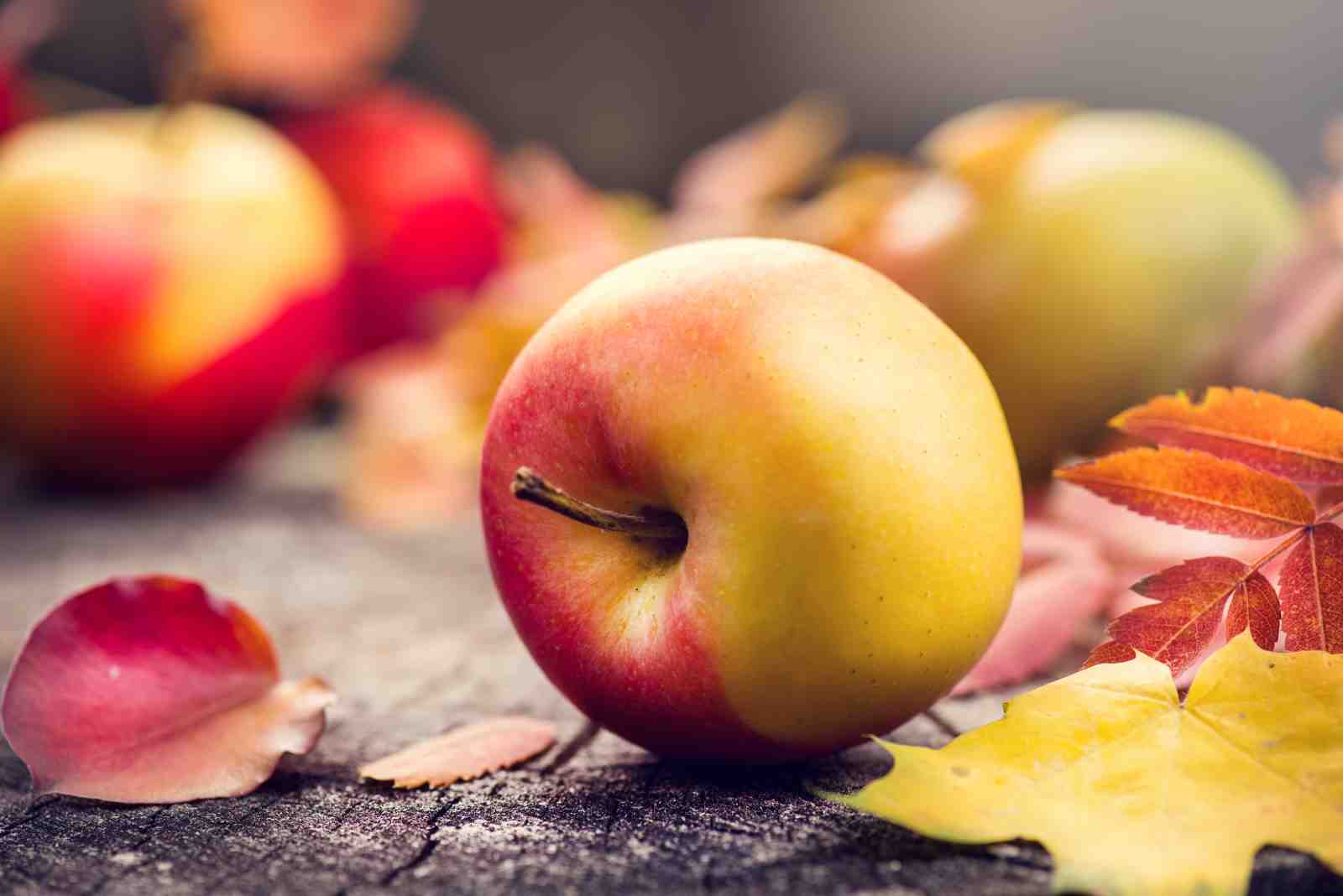 Autumn Apples Still Life Wall Art