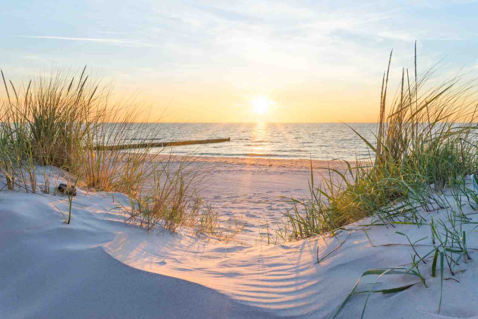 Sunset Beach Grass Wall Art - Coastal Wall Art