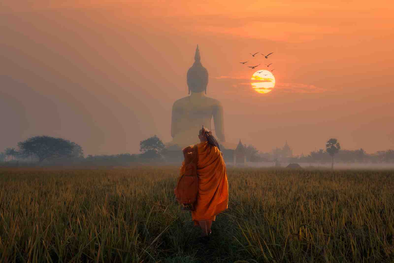 Serene Monk & Buddha Sunset Wall Art