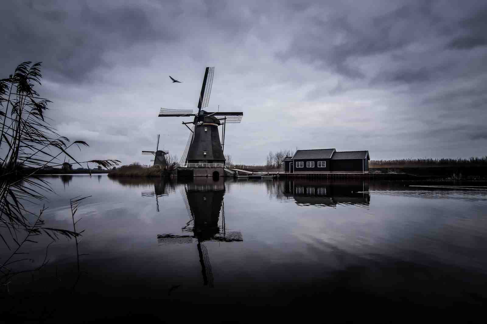 Iconic Dutch Windmills Reflection Wall Art