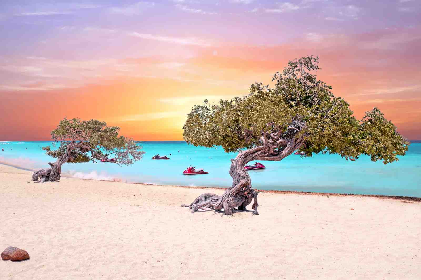 Aruba Divi Tree Sunset Beach Wall Art