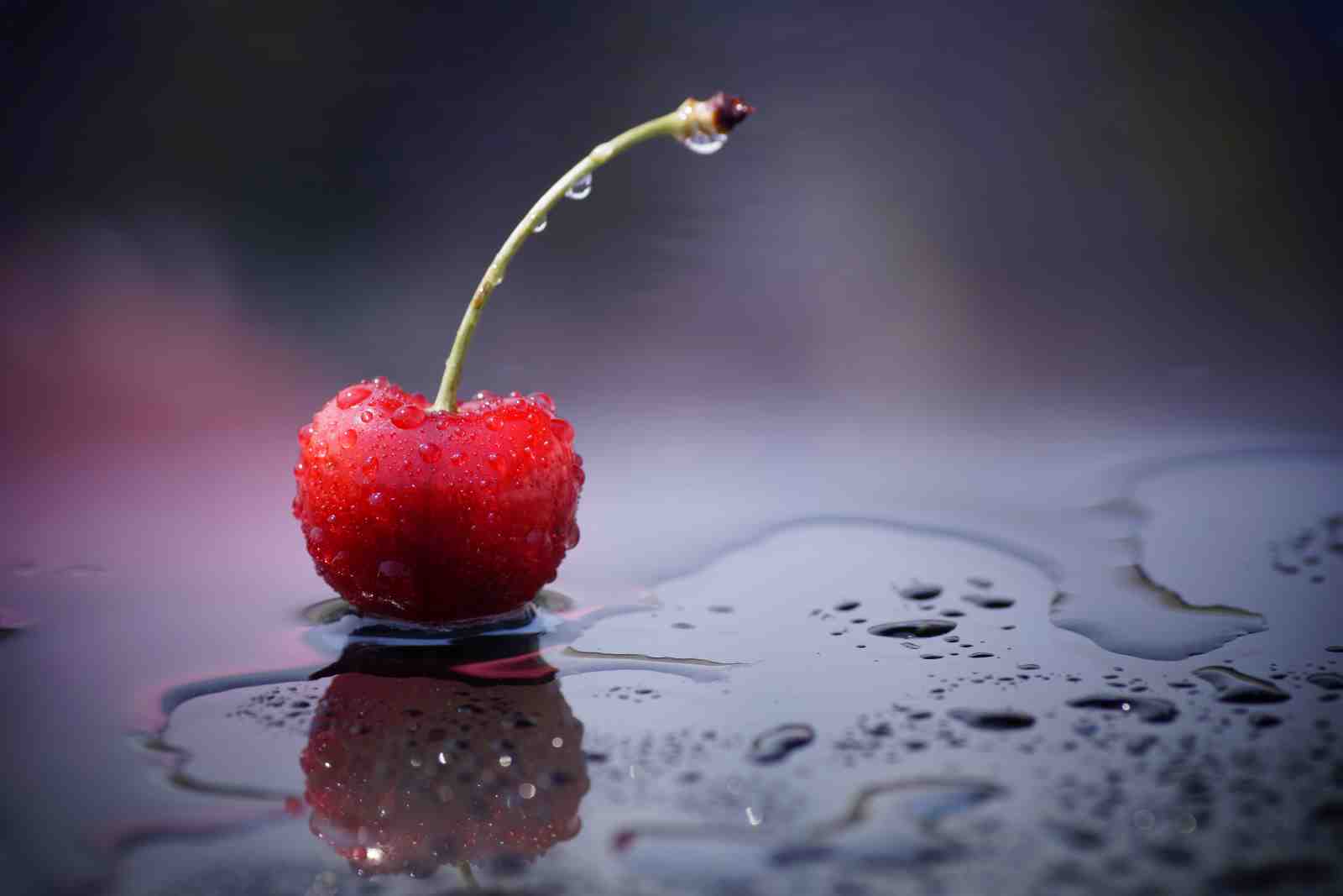 Fresh Dewy Cherry on Dark Wet Surface Wall Art