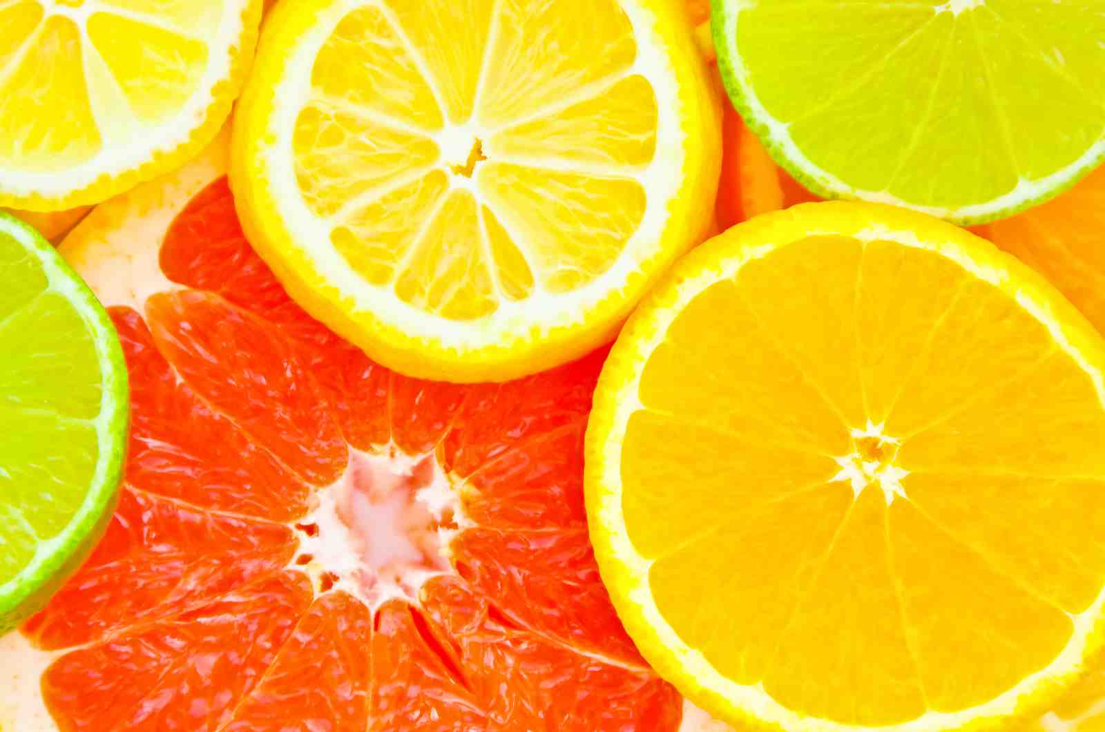 Vibrant Citrus Fruit Slices Wall Art