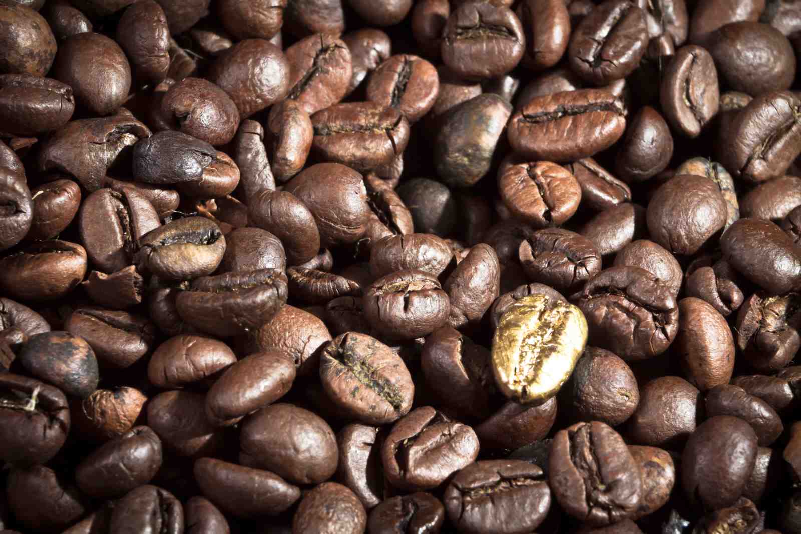 Gourmet Gold Coffee Bean Macro Art Wall Art