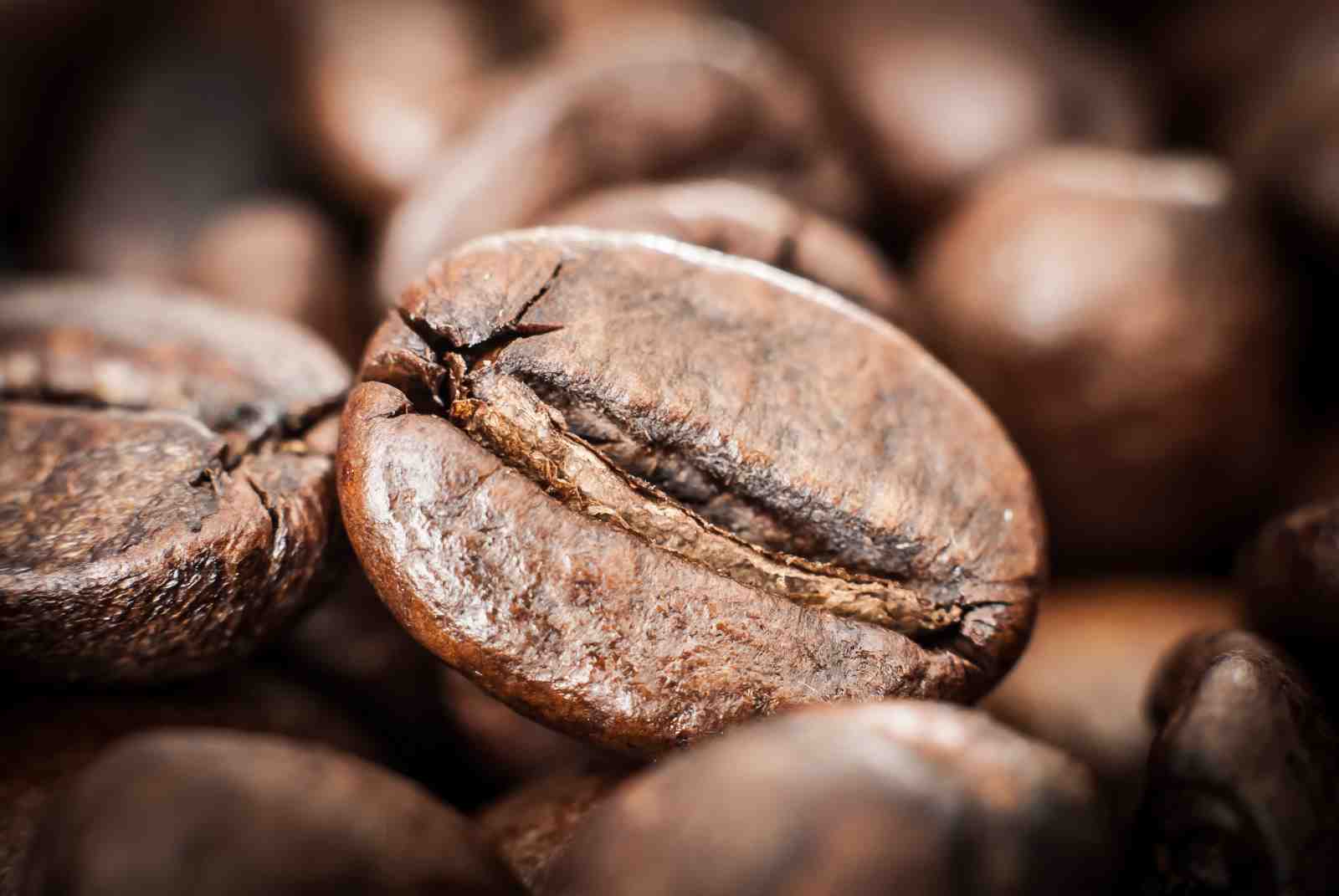 Macro Coffee Bean Art Wall Art