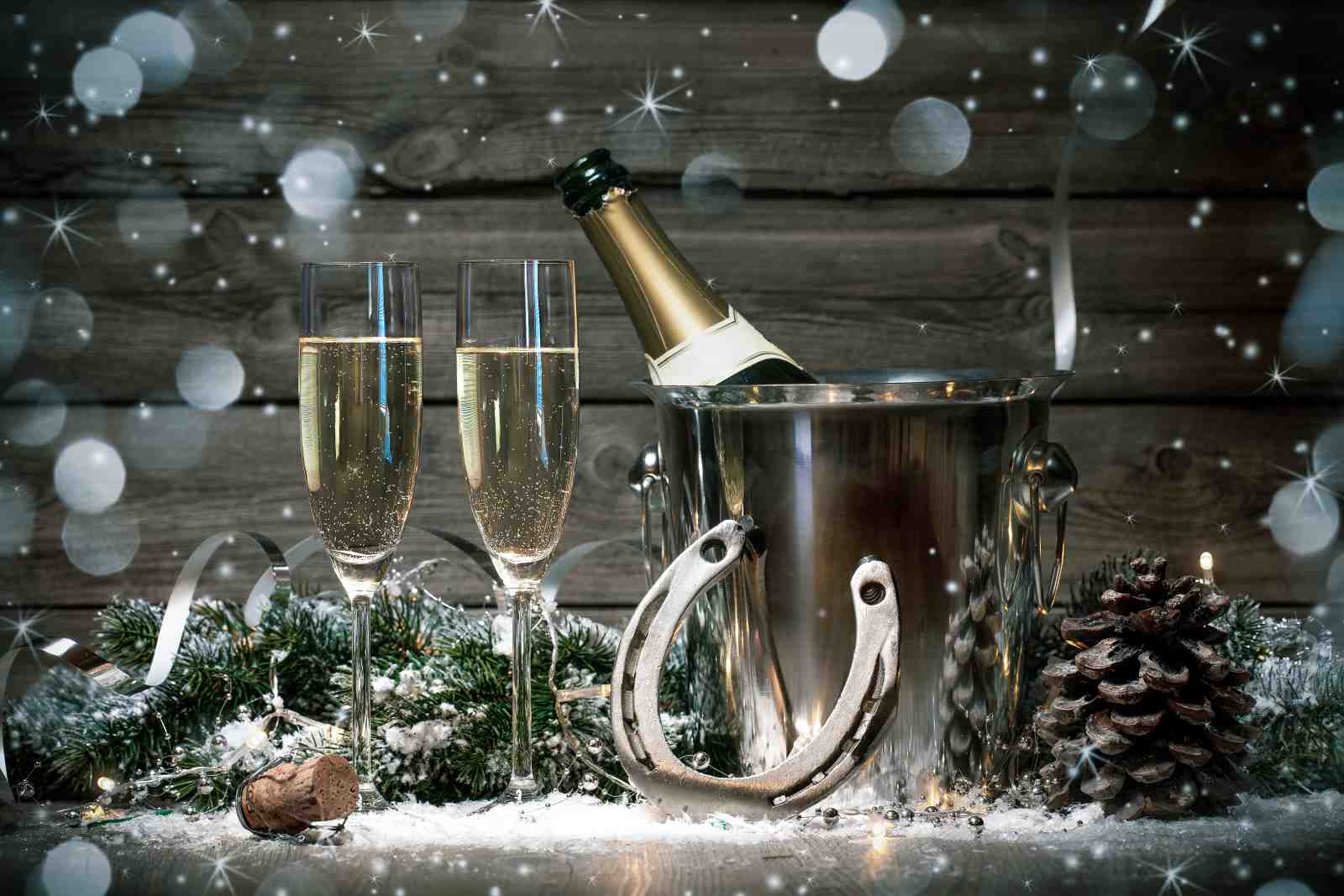 Champagne Celebration Lucky Horseshoe Wall Art