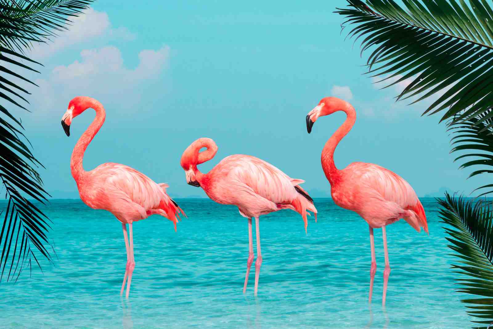 Tropical Flamingo Trio Wall Art for Coastal Vibes