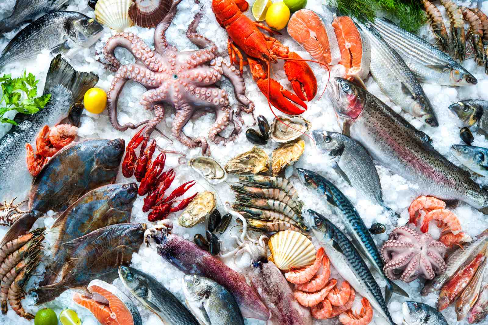 Ocean Bounty Seafood Wall Art