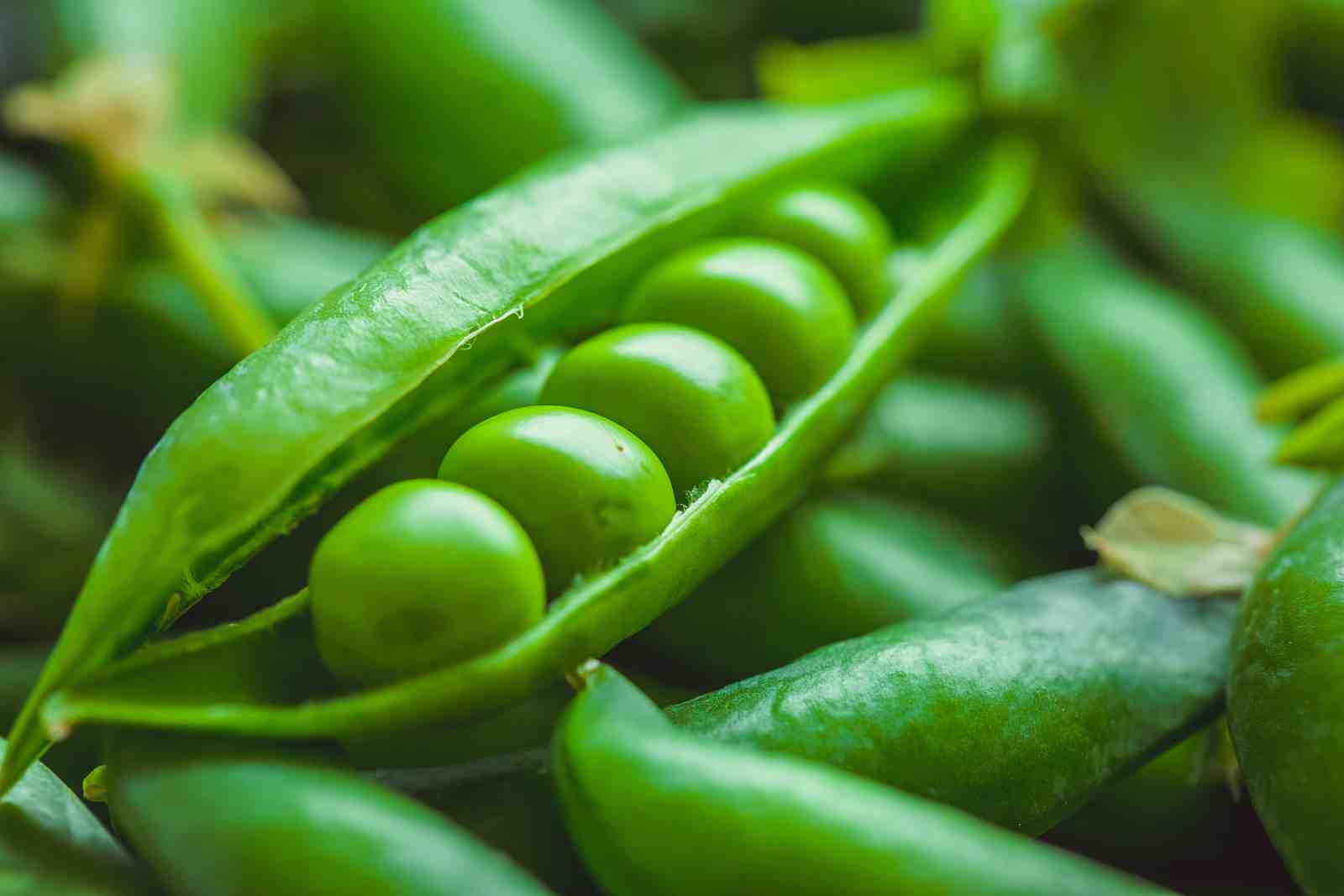 Vibrant Green Peas Close-Up Wall Art