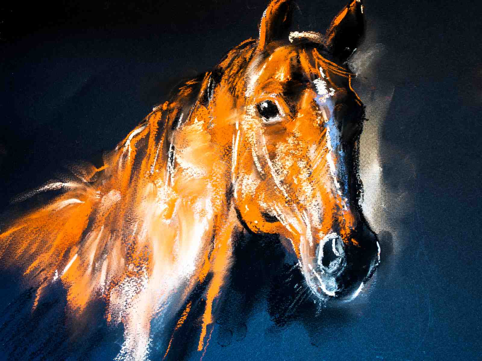 Vibrant Orange Horse Portrait Wall Art