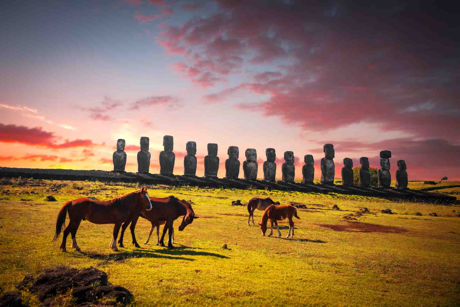 Easter Island Moai Horses Sunset Wall Art
