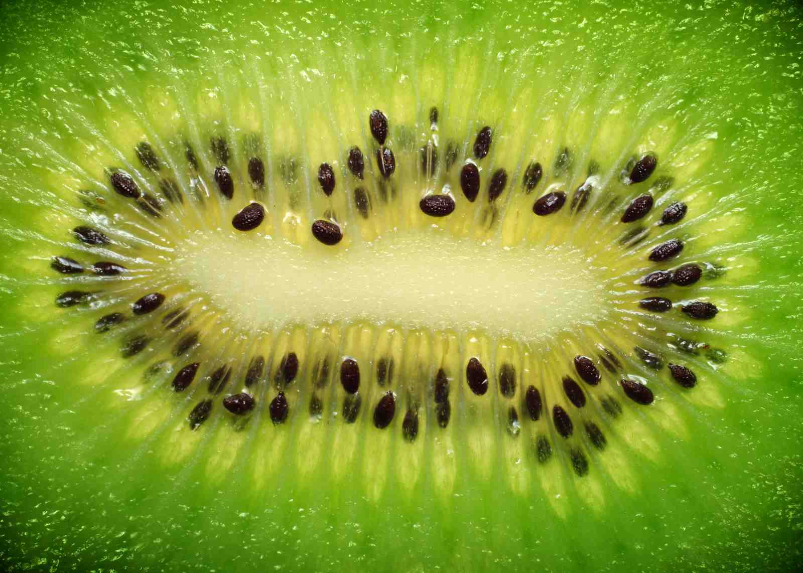 Vibrant Kiwi Slice Macro Wall Art