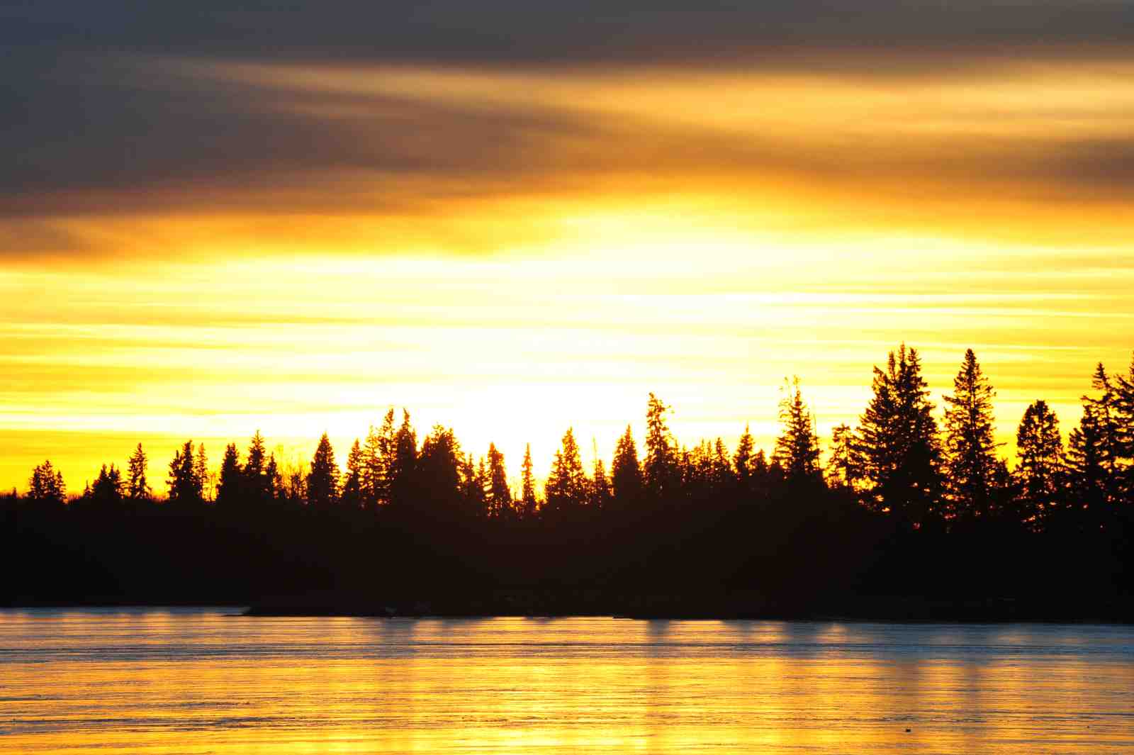 Golden Sunset Forest Lake Wall Art