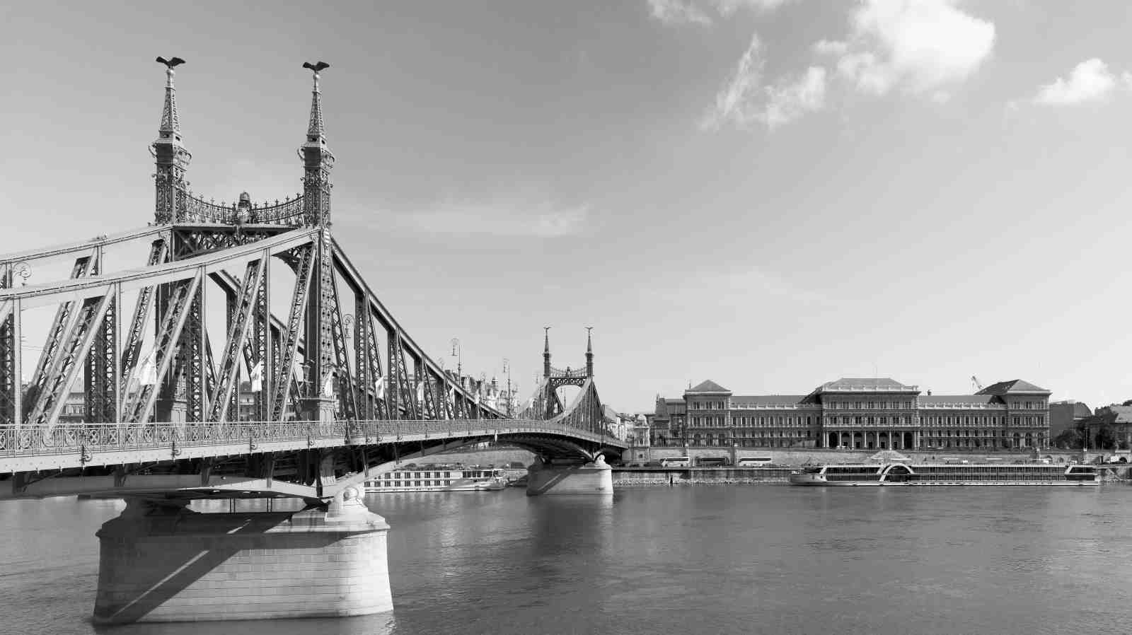 Budapest Liberty Bridge Black & White Wall Art