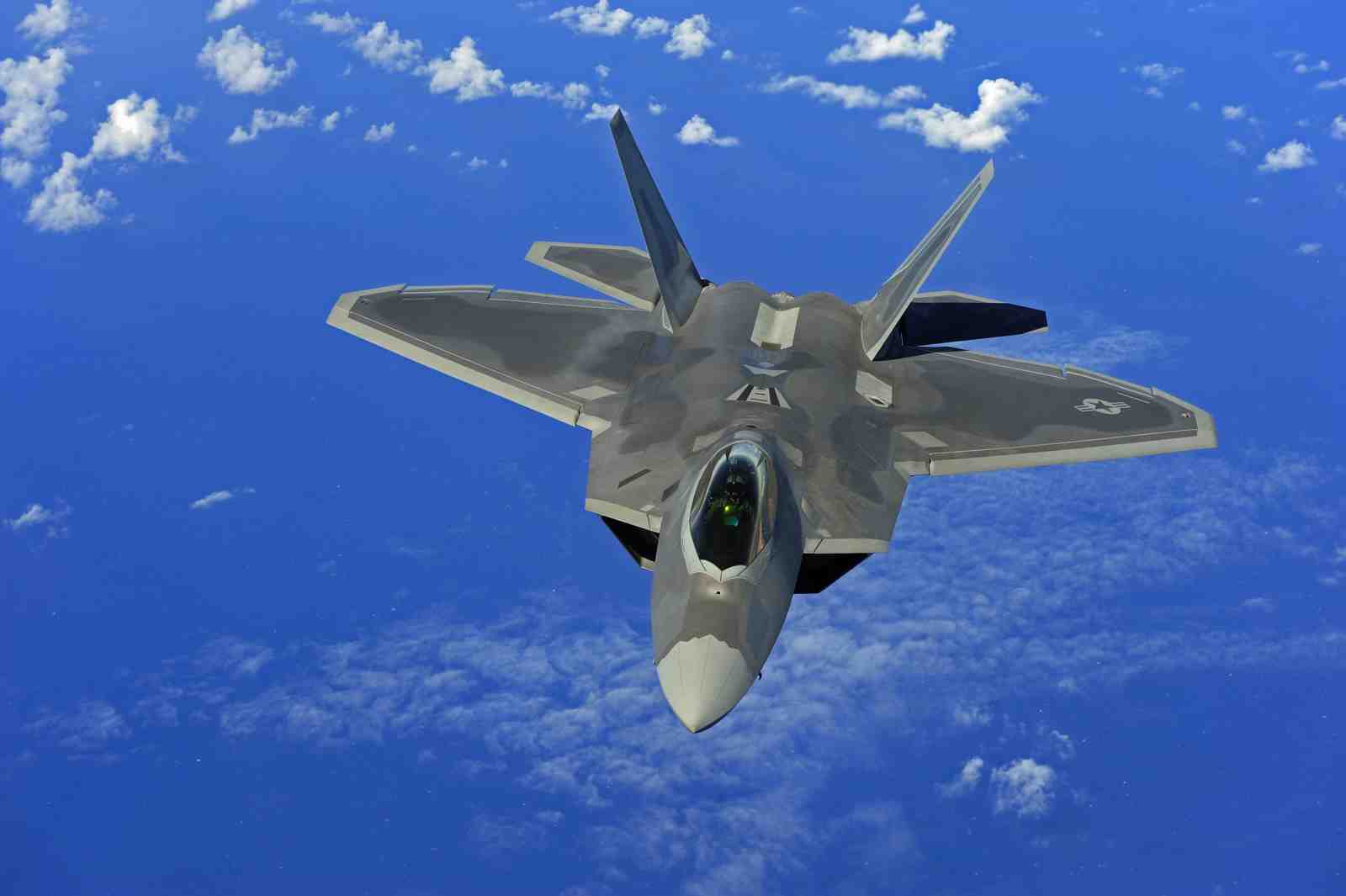 F-22 Raptor Stealth Fighter Jet Wall Art