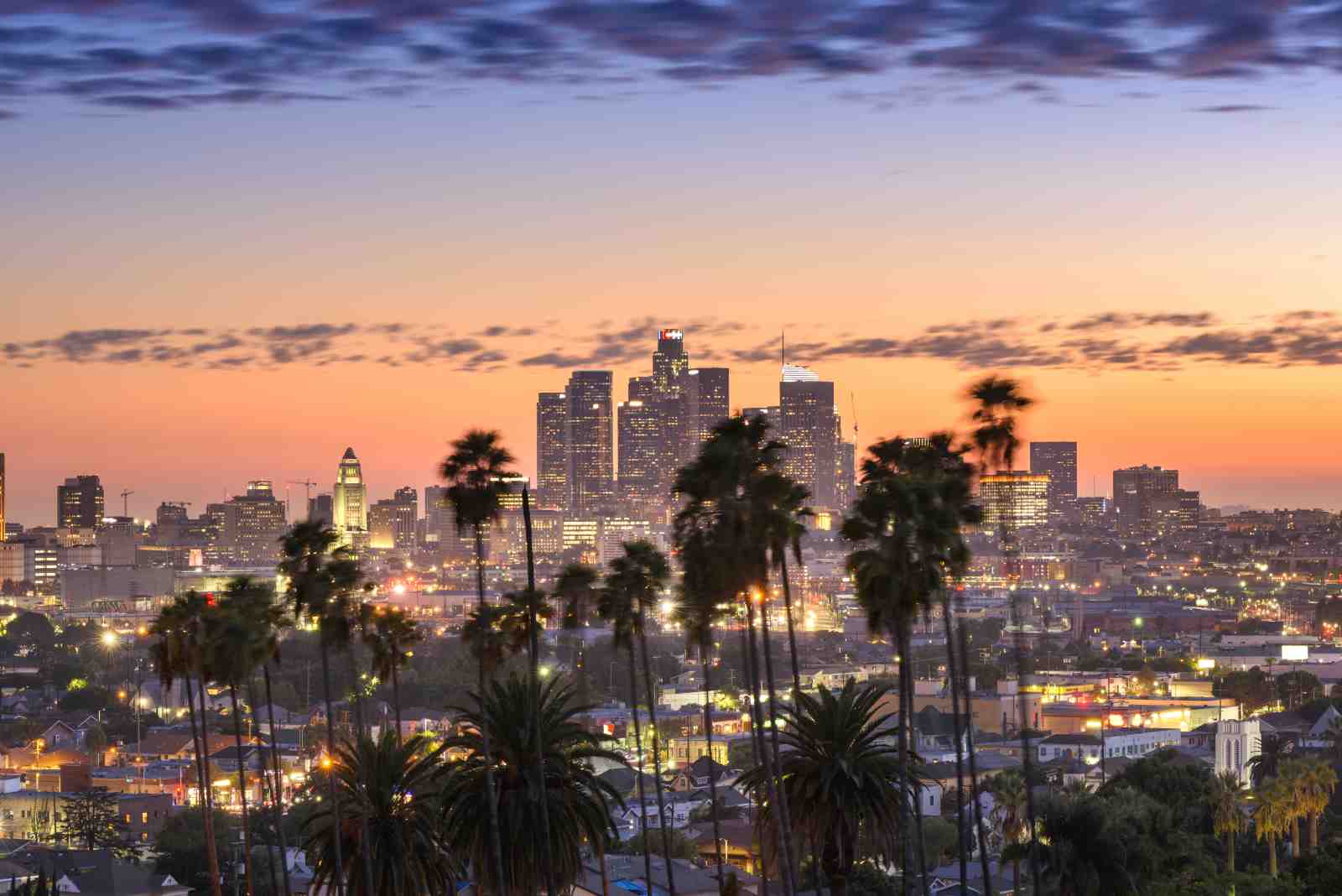 Los Angeles Skyline Palm Trees Wall Art
