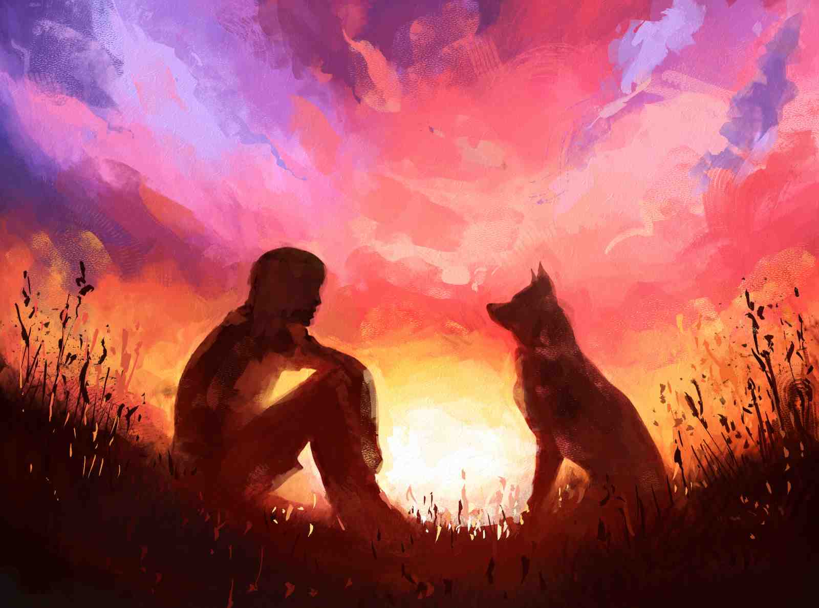 Sunset Companionship Dog & Person Wall Art
