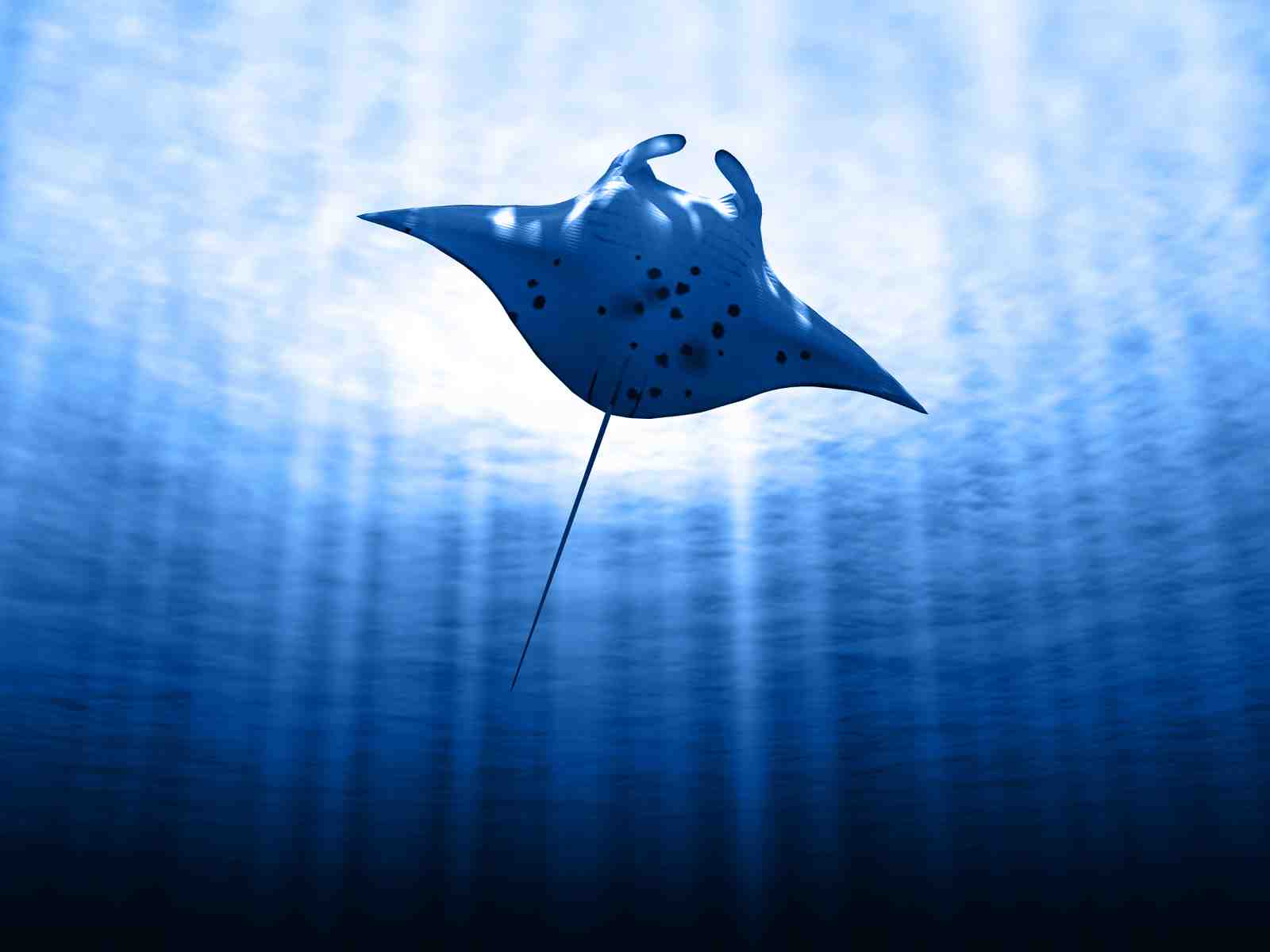 Majestic Manta Ray Underwater Scene Wall Art