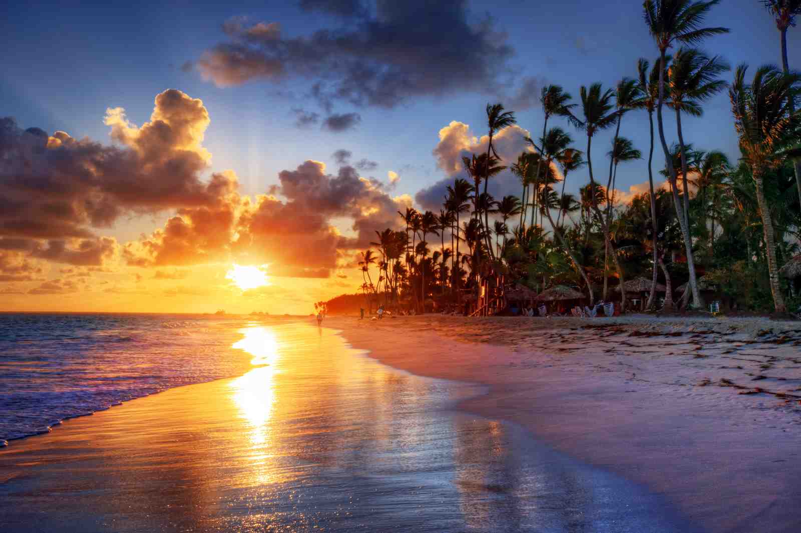 Tropical Sunset Beach Palm Trees Wall Art