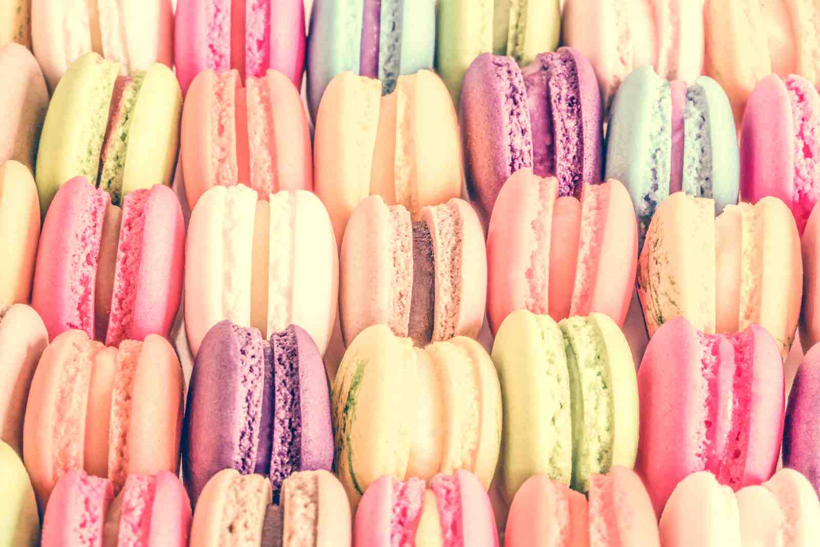 Sweet Pastel Macaron Delight Wall Art