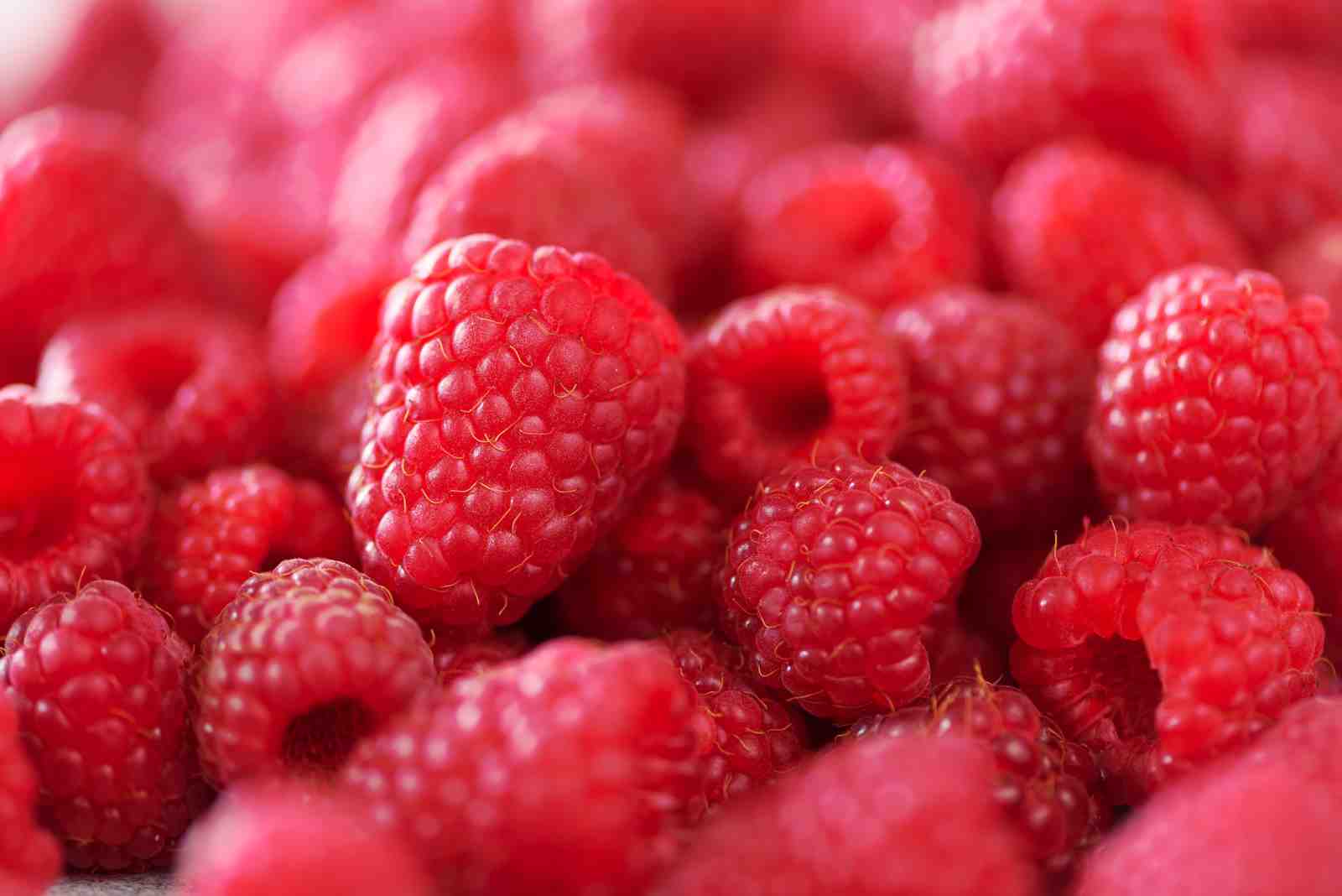 Vibrant Raspberry Close-Up Wall Art