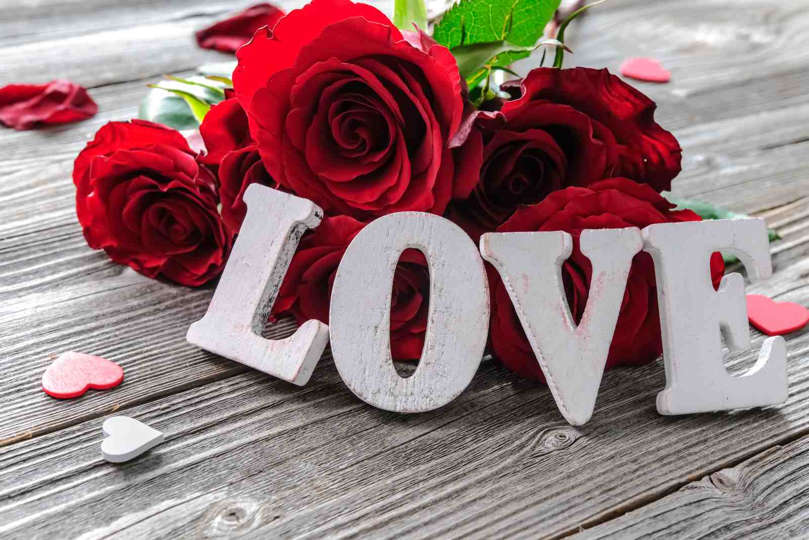 Red Rose Love Typography Wall Art