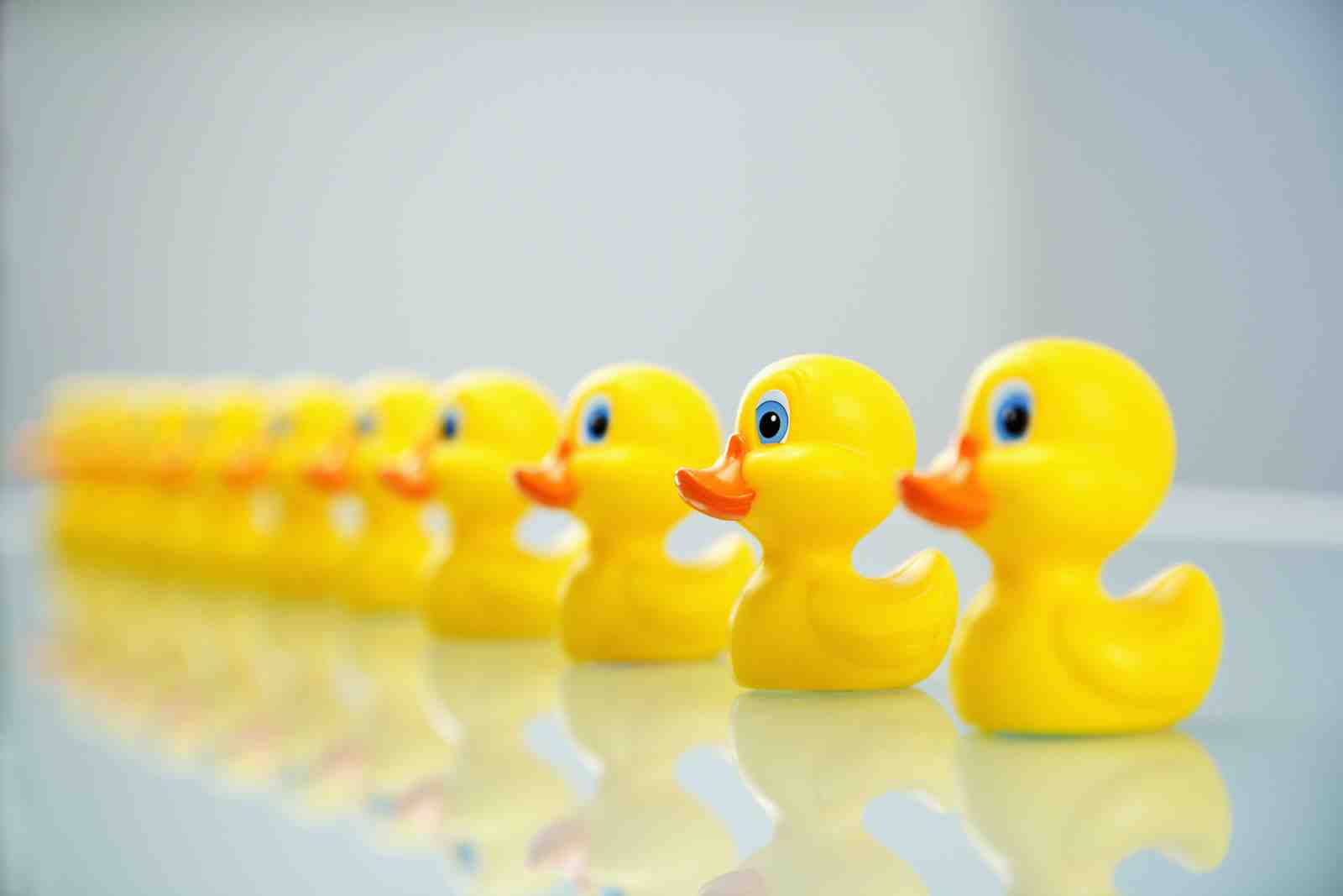 Playful Yellow Duckling Line Wall Art
