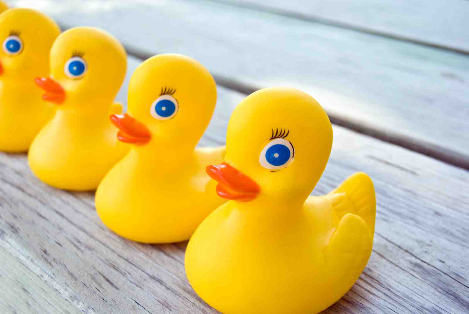 Adorable Yellow Rubber Ducks Wall Art Wall Art