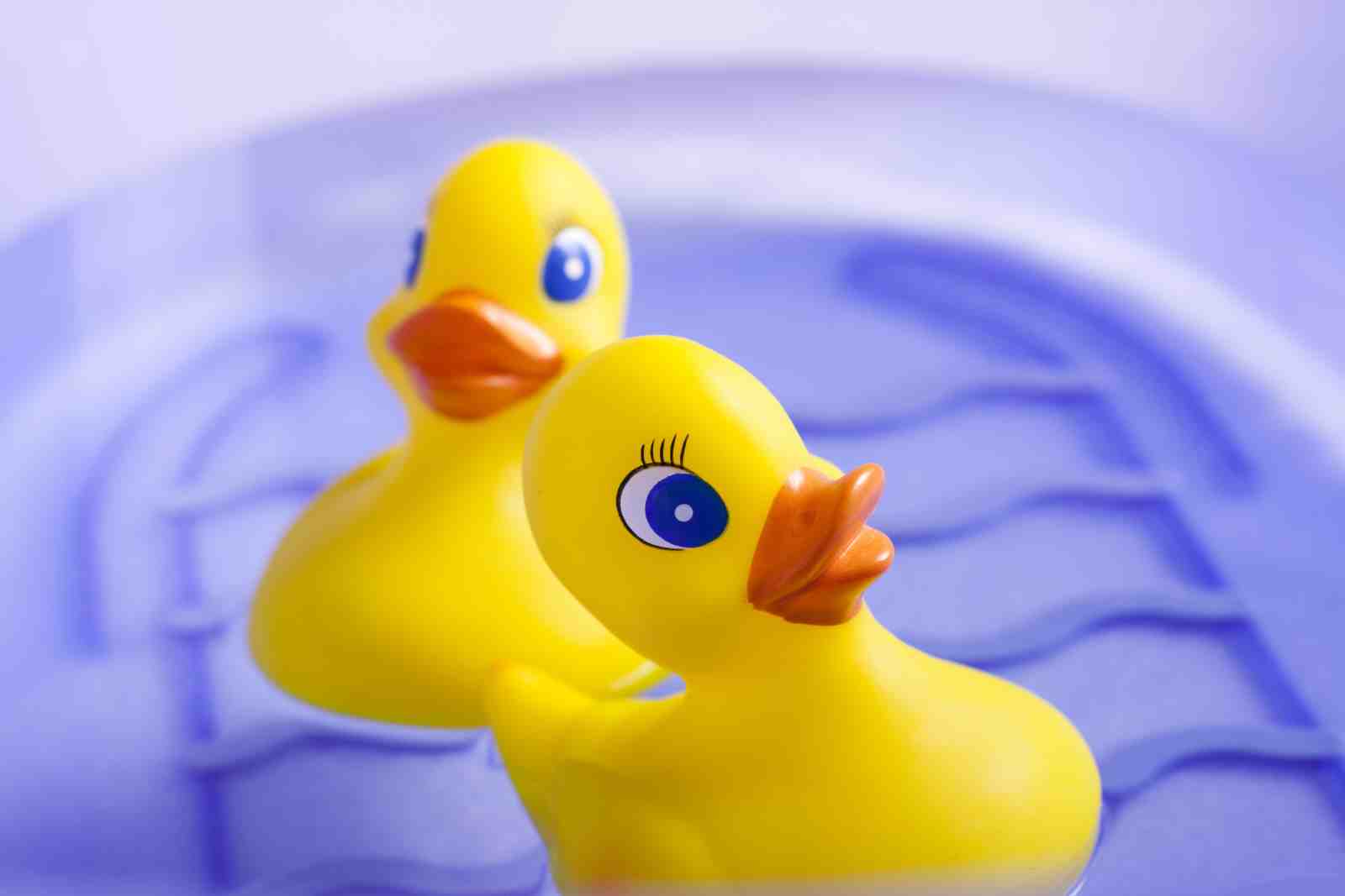 Playful Yellow Ducks in Tub Wall Art