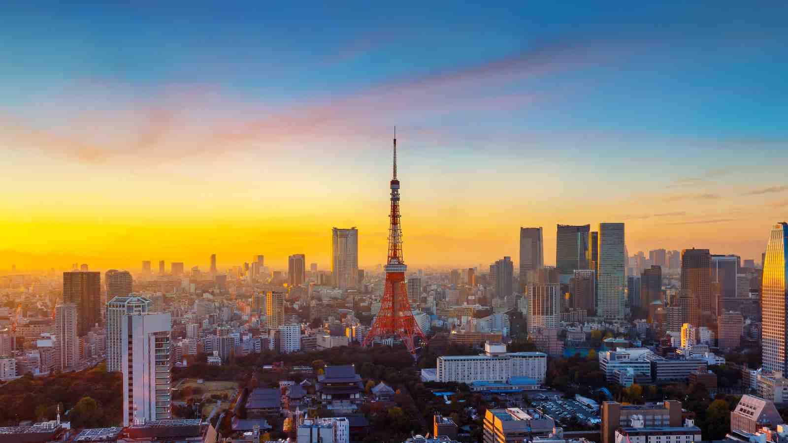 Tokyo Skyline at Sunset Wall Art - Cityscape Art