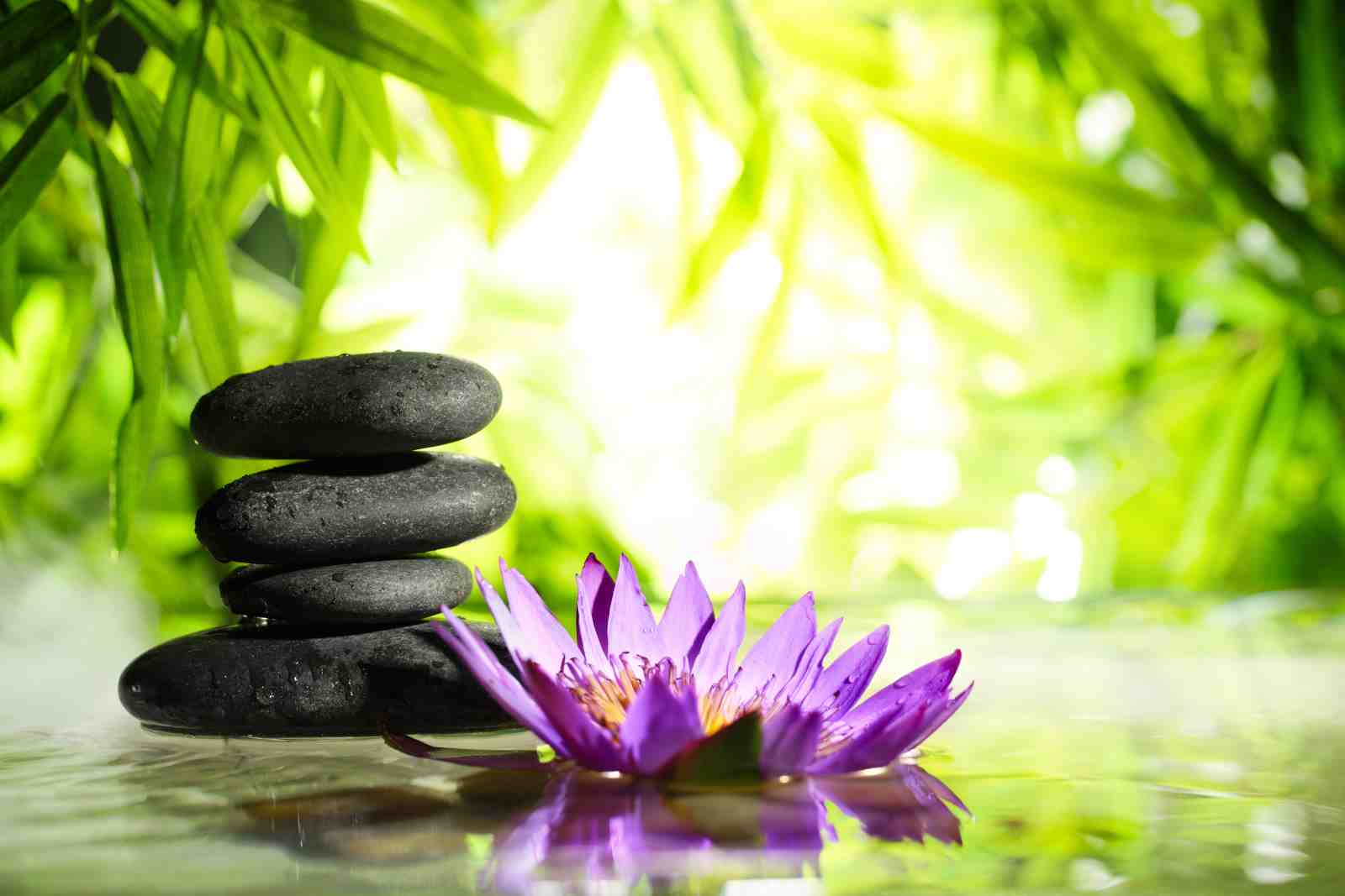 Zen Lotus & Stones Serenity Wall Art