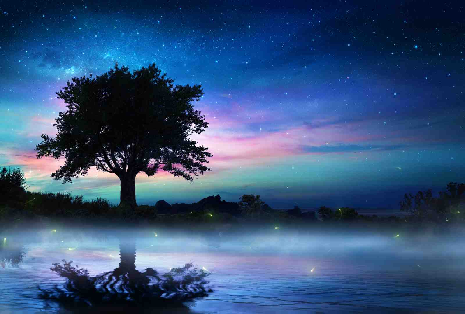 Magical Night Sky Tree Reflection Wall Art