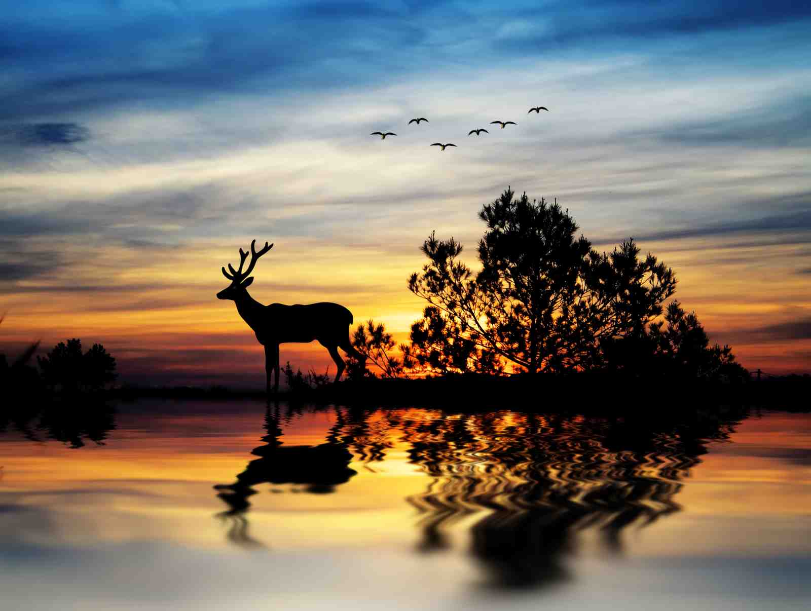 Majestic Deer Sunset Serenity Wall Art