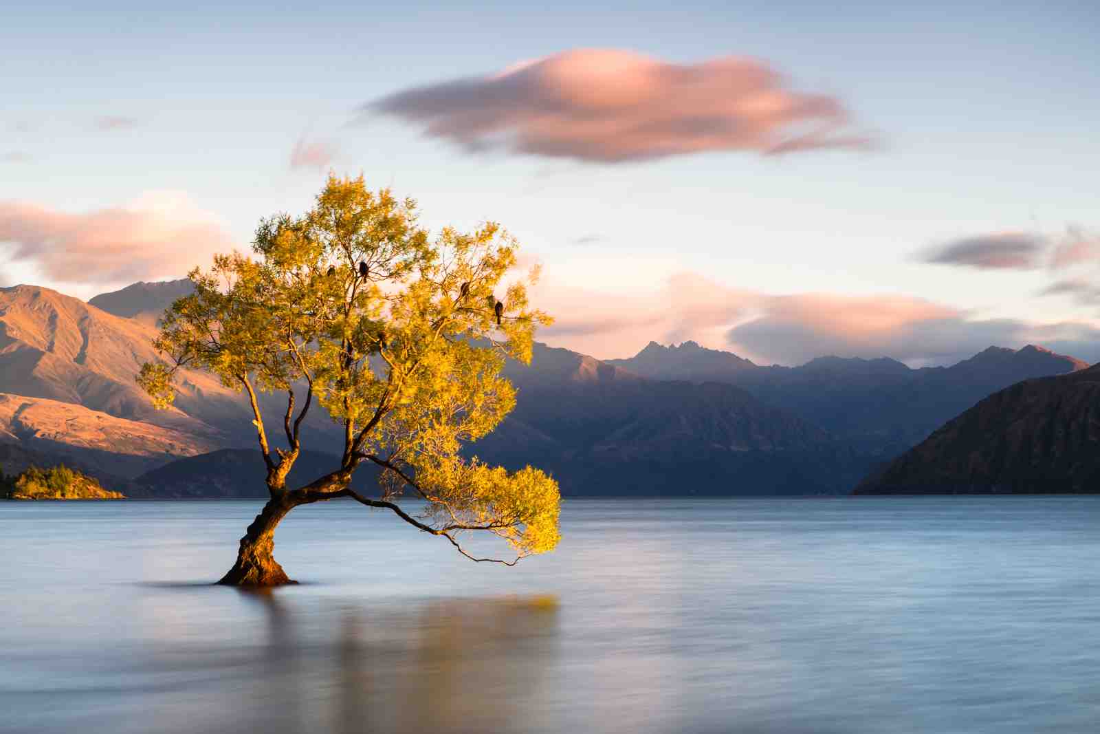 Serene Lake Tree Landscape Wall Art