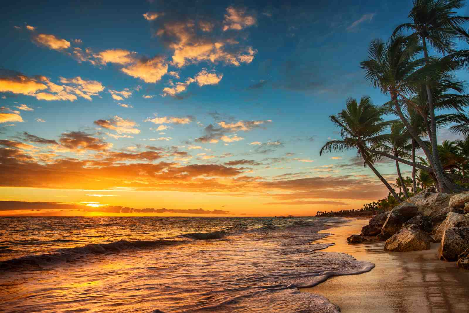 Tropical Sunset Beach Palm Trees Wall Art