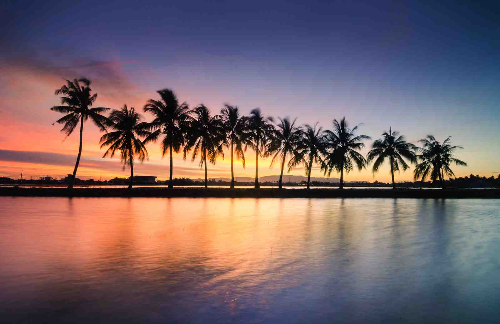 Tropical Sunset Palm Trees Wall Art