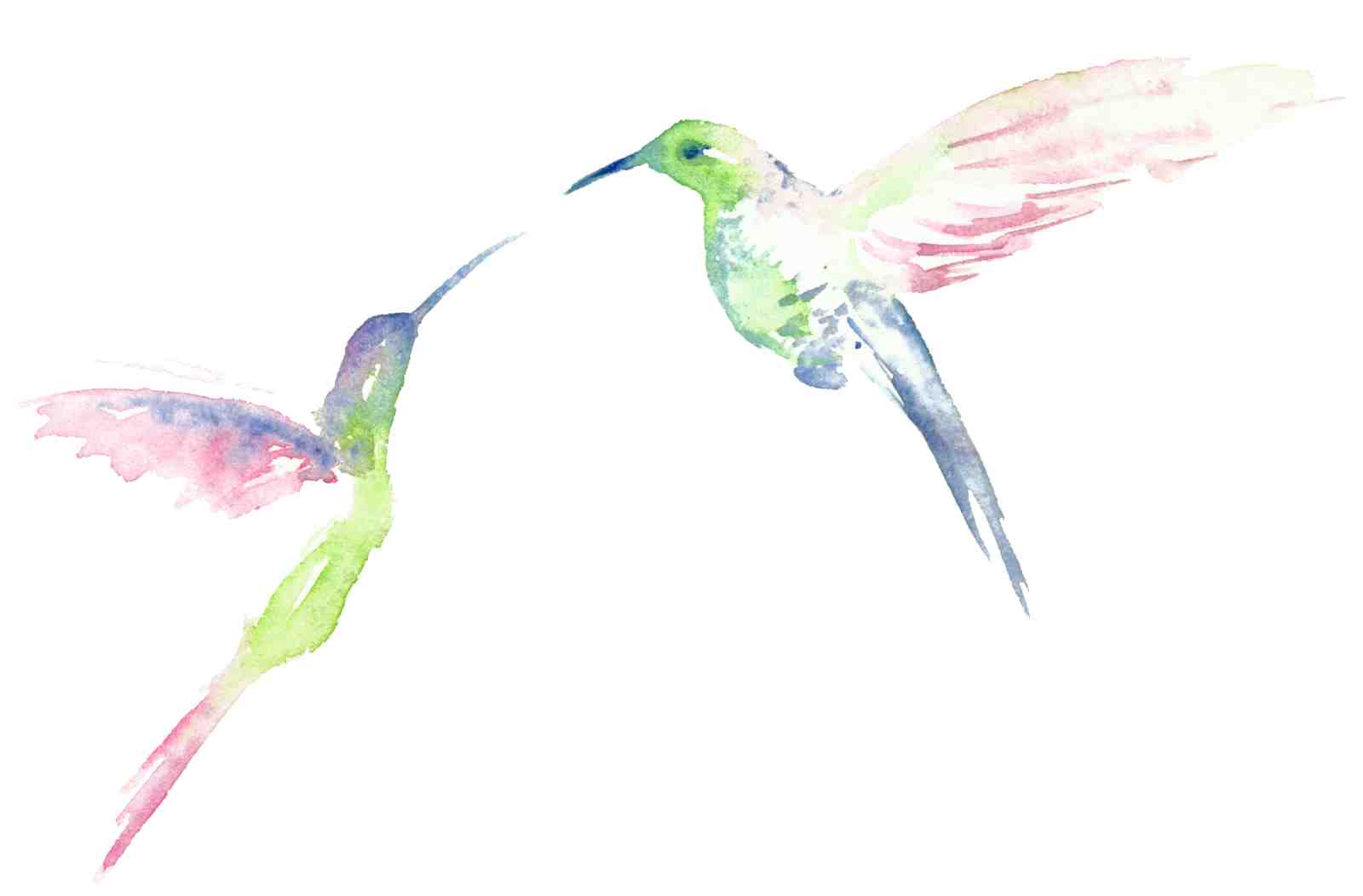Elegant Hummingbirds Watercolor Wall Art